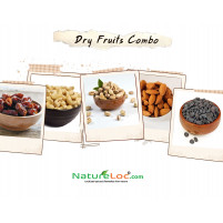 NatureLoc Premium Dry Fruits Combo